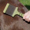 Coastal - Safari - Dog Flexible Slicker Brush, No Color,