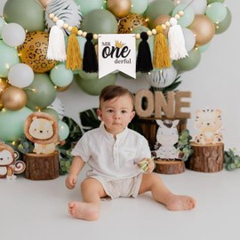 ZAIBIANHAO Wild One Highchair Banner - Jungle Safari Birthday Decorations,Wild High Chair Yarn Tassel Banner,Wild One Tassel Garland for First Birthday (wild one banner tassel)