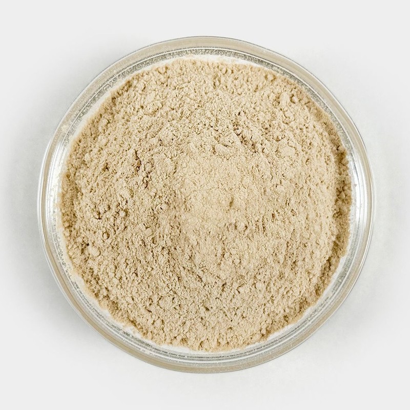 Oh Herb 국산 표고버섯가루 표고버섯분말 40g