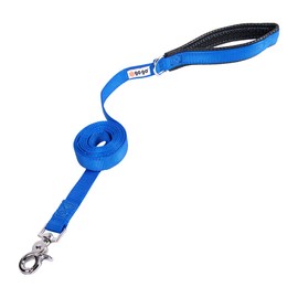GoGo Pet Products 3/4-Inch Wide Comfy Nylon Dog Leash, 4-Feet Long, Blue