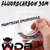 Angel Berger Wild Devil Baits FC 100% Fluorocarbon Super Strong
