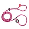 Harness Lead No Pull Dog Harness and Leash Set, Anti