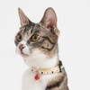 Petio Cat Collar Cat Collar, Yellow