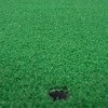 Portable Golf Mat Grass Pad Skill Tool Training Practicing 60*30cm