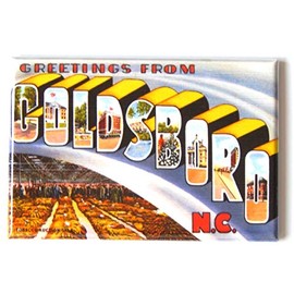 Greetings from Goldsboro North Carolina Fridge Magnet (1.75 x 2.75 inches)