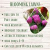 Flawn Seed Kits Tri-Color Clover Seed Plus Mow Less Fine