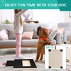 Multifunctional Puppy Nail Grinding Scratch Board Pad Nail File Board
