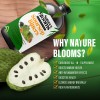 Nature's Blooms Soursop Bitters & Black Seed Bitters Bundle –