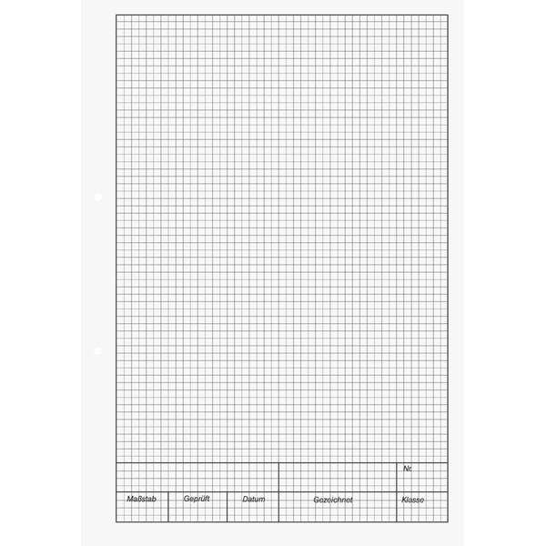 Brunnen 1042235 KIESER-Zeichenblock (A4, 25 Blatt, 5 mm kariert mit Rand, gelocht, 150g/m²), weiß