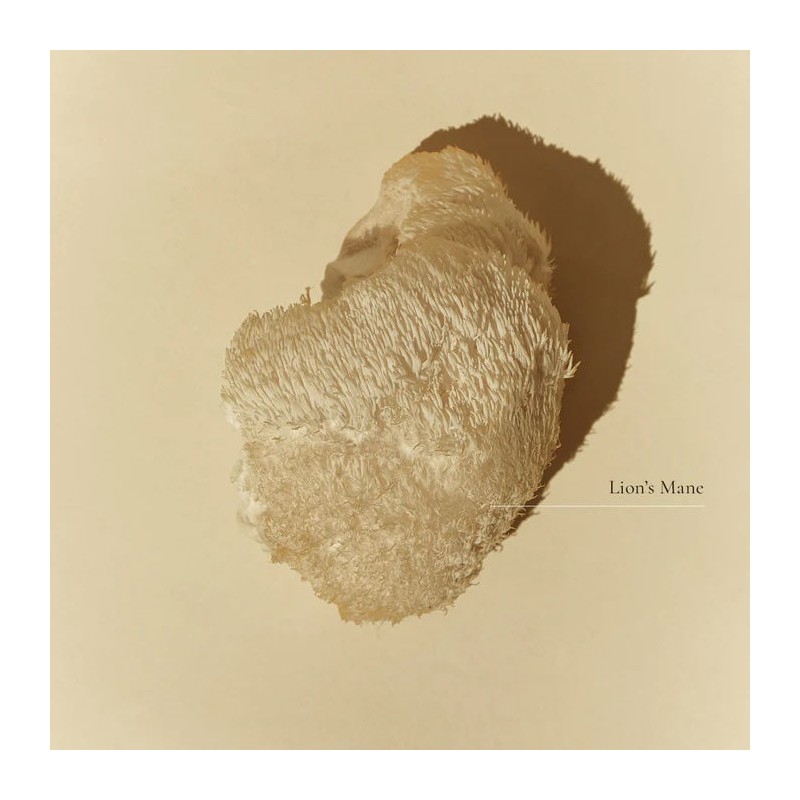 Superfeast Lion's Mane 100g