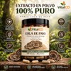 Hongos Adaptógenos Suplemento Hongo Cola Pavo 120 Cápsulas Extracto 100
