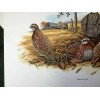 Don Balke BOBWHITE QUAIL (Masterpiece-1