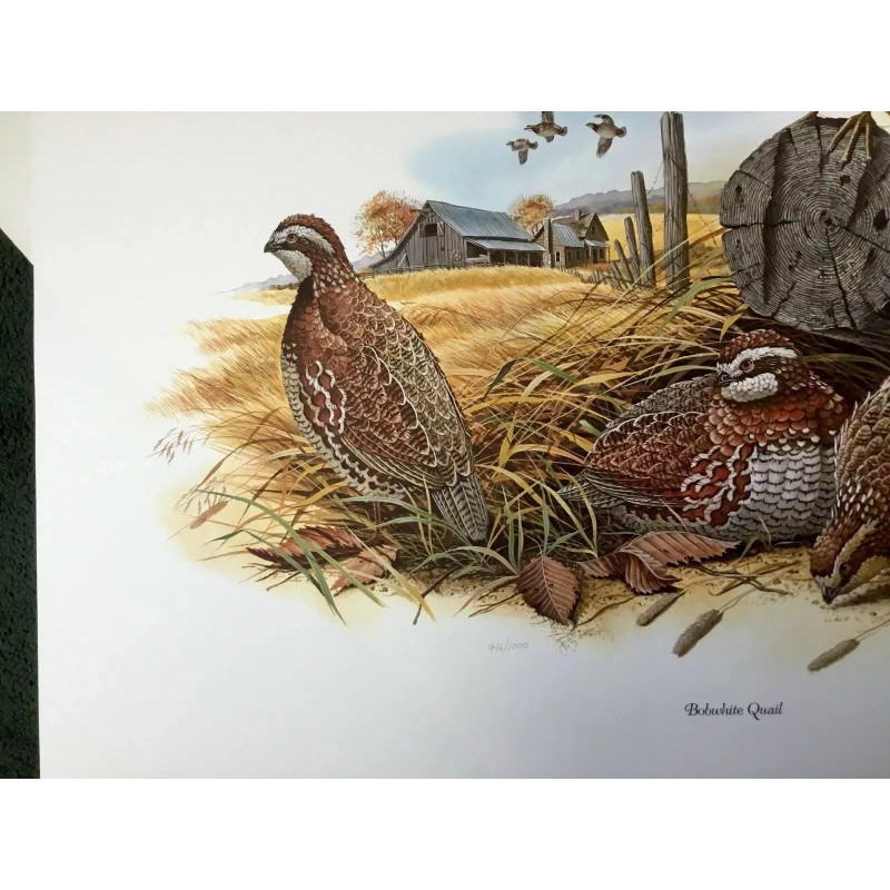 Don Balke BOBWHITE QUAIL (Masterpiece-1