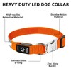 PetIsay Glow-in-The-Dark Dog Collar - Rechargeable IP68 Waterproof LED Collar