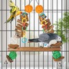 unimaxlink 3-in-1 Parrot Toys Natural Coconut Fiber Parrot Hammock (Swing