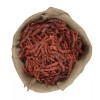 RR LLC Organic Arbol S17 SPICY Chillies from India Ultra HOT ~ Salsa ~Fresh Batch SPICE - 16 oz