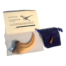 Cast Replica Deinonychus Dinosaur Claw with Bonus Genuine Fossil Spinosaurus Tooth by DINOSAURS ROCK
