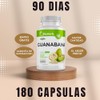 BioHerb. Guanabana Extracto 100% Puro (180 Capsulas 500mg)