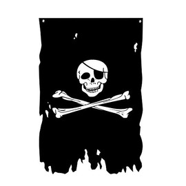 FLAGLINK Jolly Roger Flag 3x4.8Fts Creepy Ragged Crossbone Old Skull Bones Pirate Banner Vertical