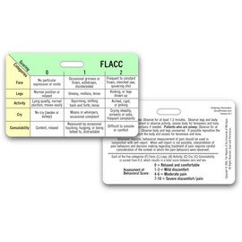 FLACC Pain Scale - Horizontal Badge Reference Card (1 Card)