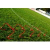 Netsportique Flexible Hurdle Set of 5 - Red or Yellow