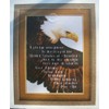 Janlynn's Just-A-Chart Counted Cross Stitch BALD EAGLE & PLEDGE OF