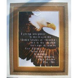 Janlynn's Just-A-Chart Counted Cross Stitch BALD EAGLE & PLEDGE OF ALLEGIANCE