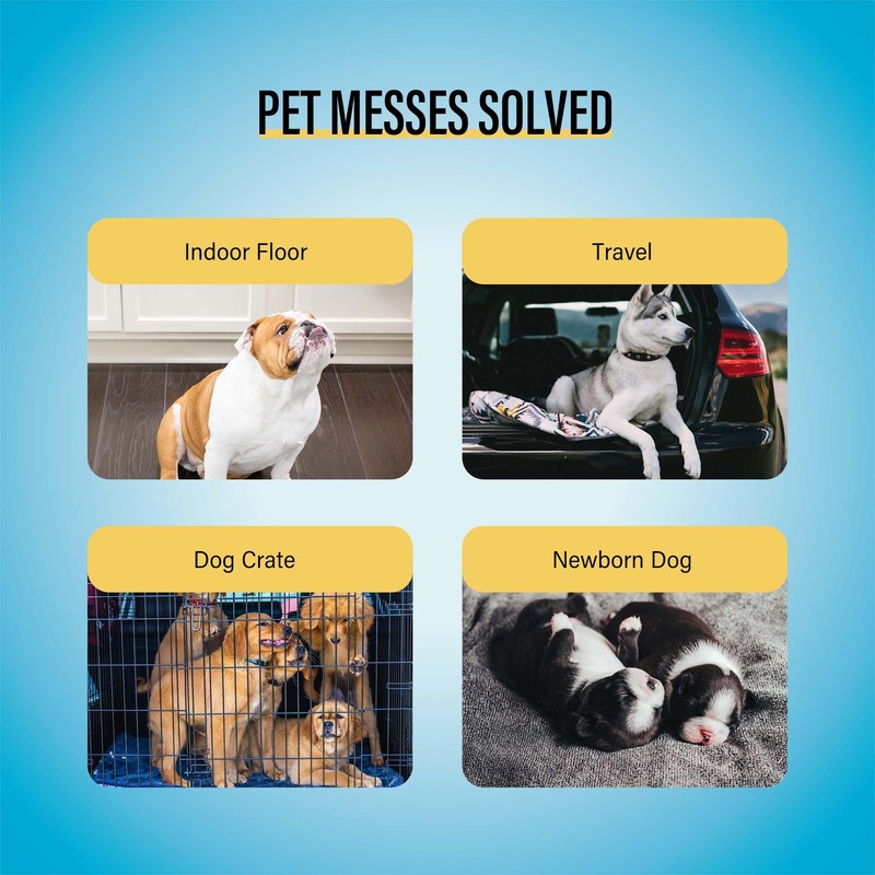 COCOYO Best Value Training Pads 30 Count | Dog Pee