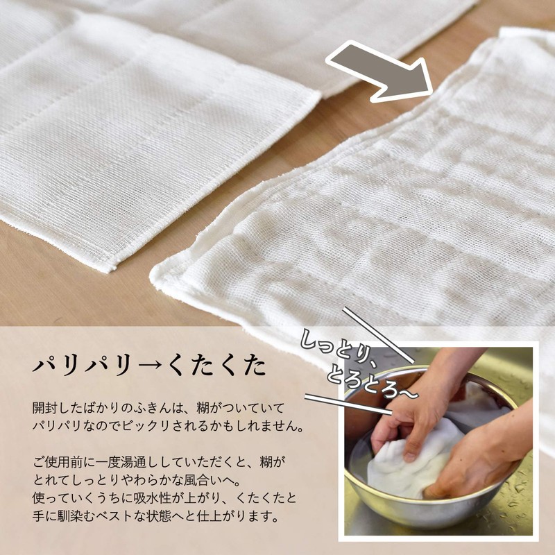 Haneruya Mosquito Net Dish Towels, Set of 6, White, Plain,