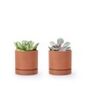 2-Pack Terracotta Plant Pots with Saucers, 3 Inch, 40-X-B-0