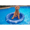 PoolCandy Inflatable Pet Float - Easy Set Up Doggy Pool