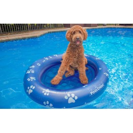 PoolCandy Inflatable Pet Float - Easy Set Up Doggy Pool Floats (Up-to 100LB PAW Large)