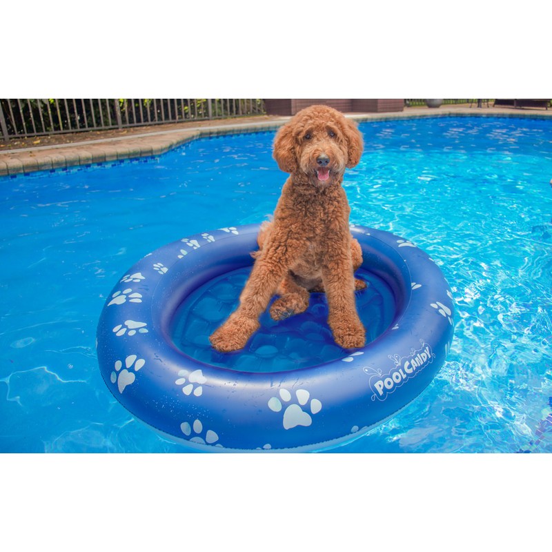 PoolCandy Inflatable Pet Float - Easy Set Up Doggy Pool