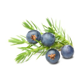 OliveNation Juniper Flavor Extract, Classic Gin Taste Flavoring for Beverages, Meat, Sauces, Baked Goods, Non-GMO, Gluten Free, Kosher, Vegan - 32 ounces