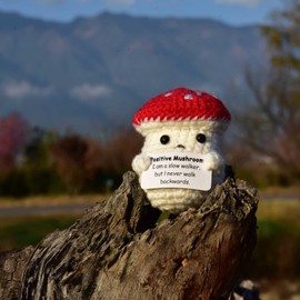 qyqkfly Mini Cute Funny Positive Life Potato Tomato Eggplant Onion Cute Animals Creative Knitted Holding Card Crochet Birthday Christmas Girls Gifts Party Decor