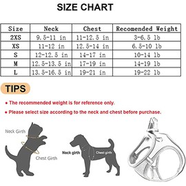 Cat Dog Mesh Vest Harness And Leash for Walking,Easy Control Escape Proof Soft Adjustable Breathable Reflective Strips Small Dog Harness for Small Breed Kitten Puppy Rabbit