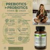 Prebiotic & Probiotic Supplement – 60 Tablets – Gut Health