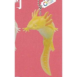 Nature Technicolor MONO ambystoma mexicanum and Horned Frogs bo-rutye-nmagunetto 3 ambystoma mexicanum (Golden) Ball Chain ikimo It