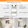 Tassuowell Battery Powered Picture Light with Remote and Timer,Full Metal