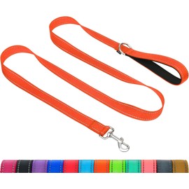 Taglory Dog Leads for Small Medium Dogs | Double Sided Reflective | Soft Neoprene Padded Handle | 2 cm Wide by 180 cm Long | Orange
