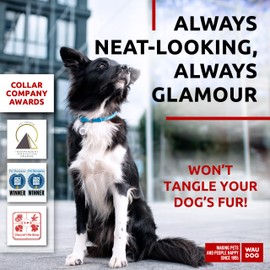 Rolled Leather Dog Collar for Small Dogs - Soft Padded Dog Collars for Medium Dogs - Puppy Collars for Large Breed Dogs - Male and Female Dog Collar