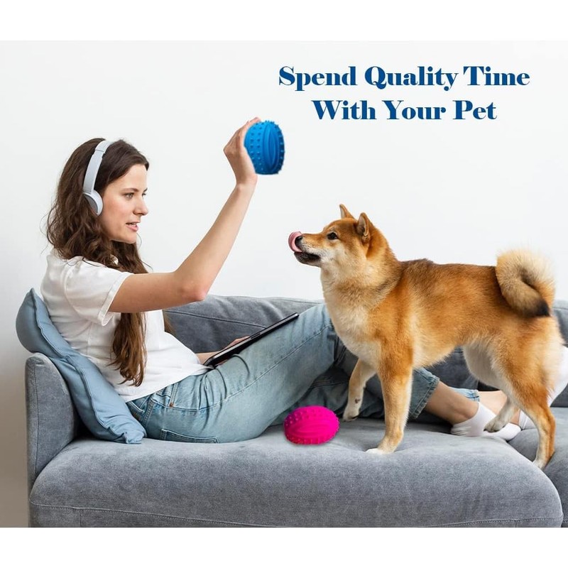 Kingdom Squeaky Rugby Ball Dog Toy