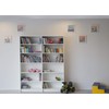 Lissey Picture Rail, Load Capacity: Approx. 44.1 lbs (20 kg),