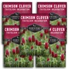 Crimson Clover Seed for Planting - 5 Packets with Instructions