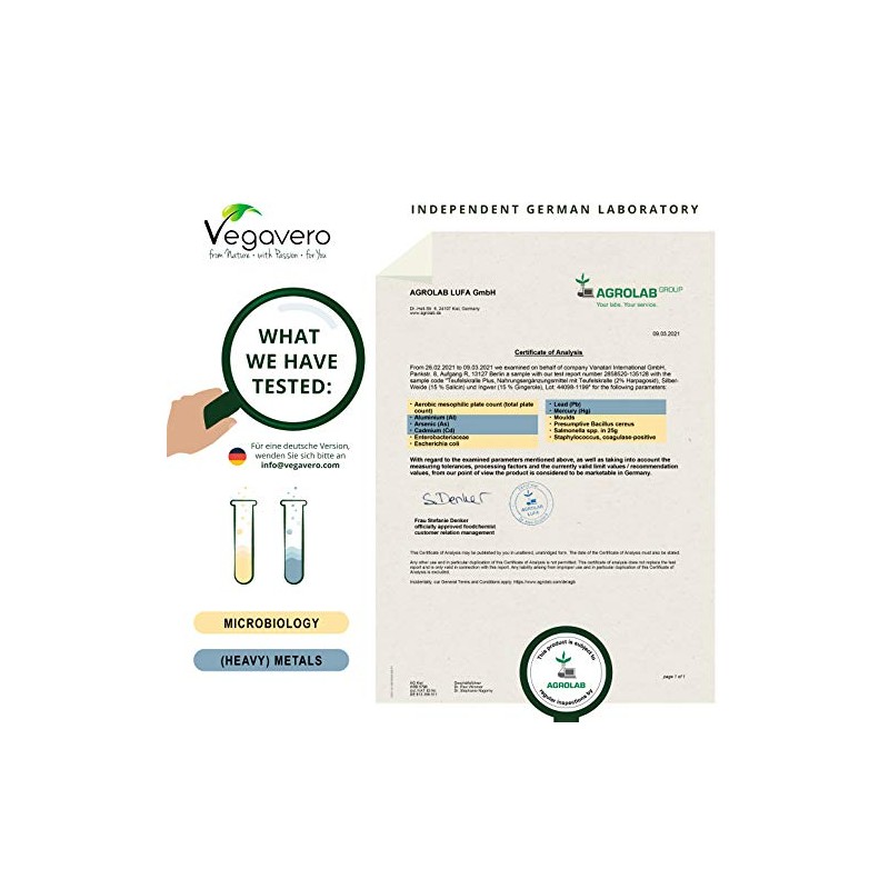 Devil’s Claw Vegavero® | 4400mg (8:1) Extract | 120 Vegan