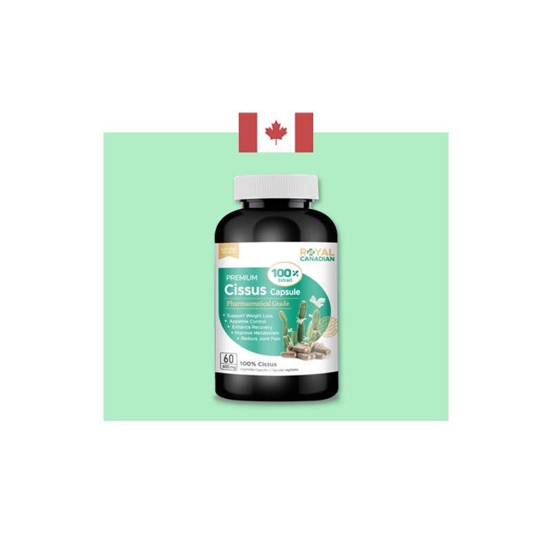 More H Xantizen body fat cut Xantizen 3 box /