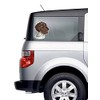 Ivybee Decals German Shorthaired Pointer Color Printed Vinyl Decal 2