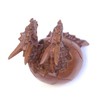 Brave Wings Two Headed Dragon Egg ~ Wooden Sculpture Gift