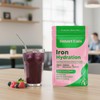 Smart Eats, Iron + Electrolyte Powder - 18mg Gentle Iron,