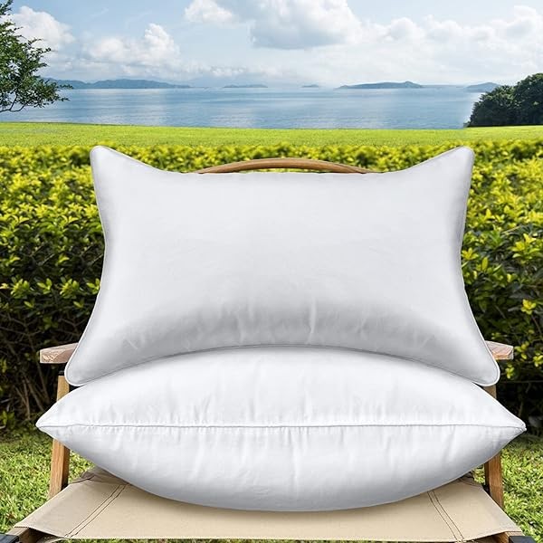 12 x 20 Outdoor Throw Pillow Inserts Set of 2